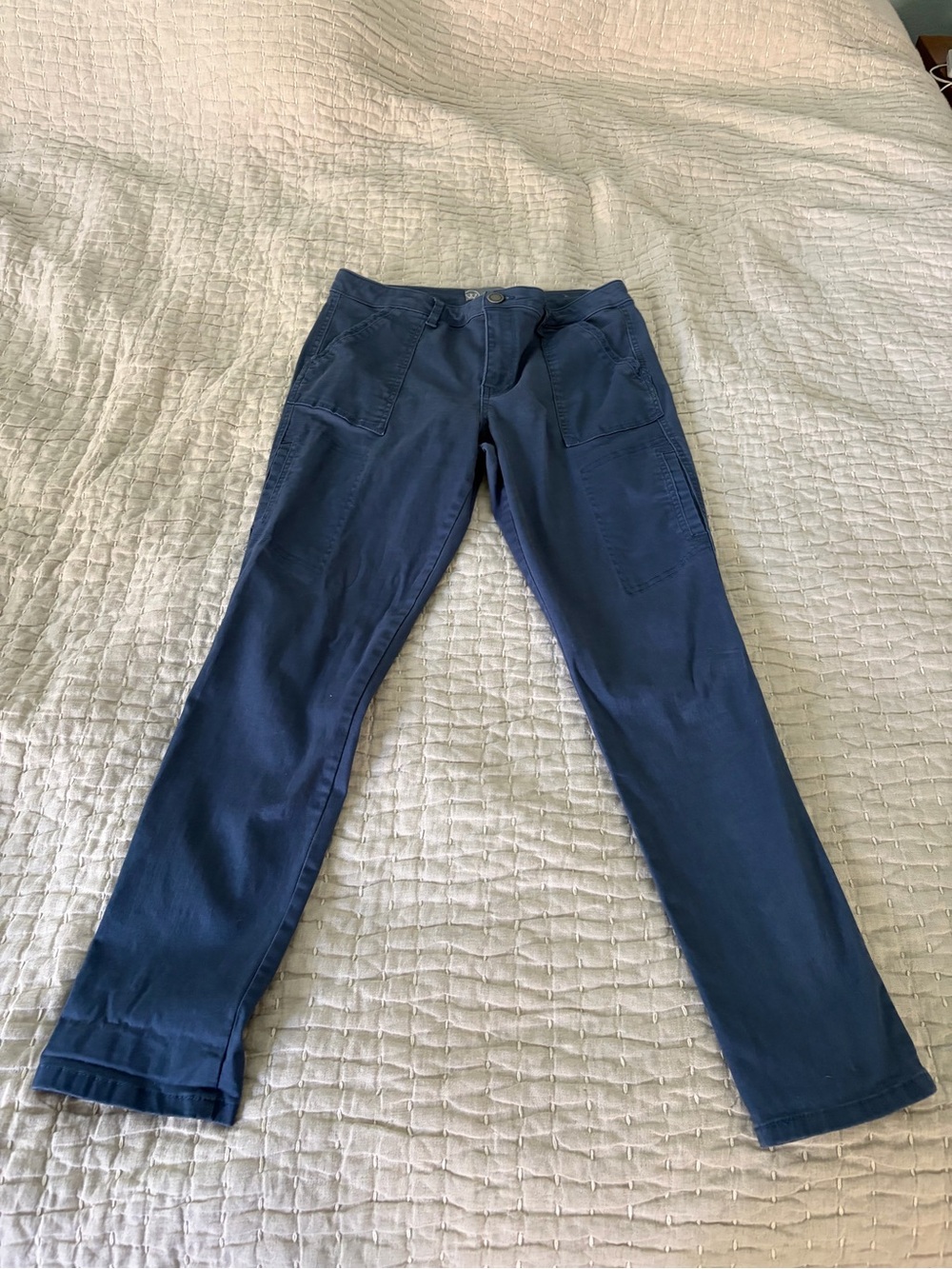 Wit & Wisdom Classic Skinny Pants in Blue
